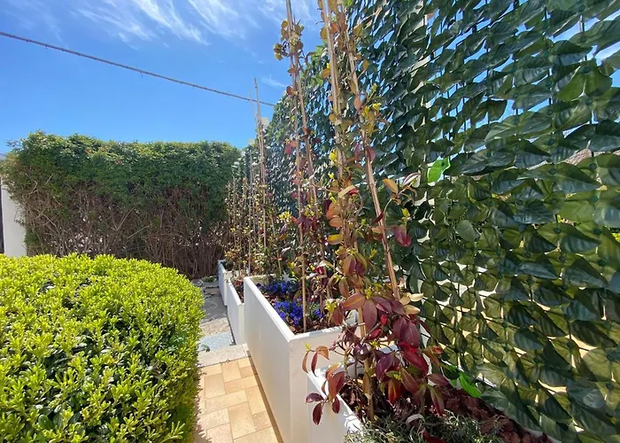 Alojamento de Acomodação e Pequeno-almoço Piazza Mameli 4*